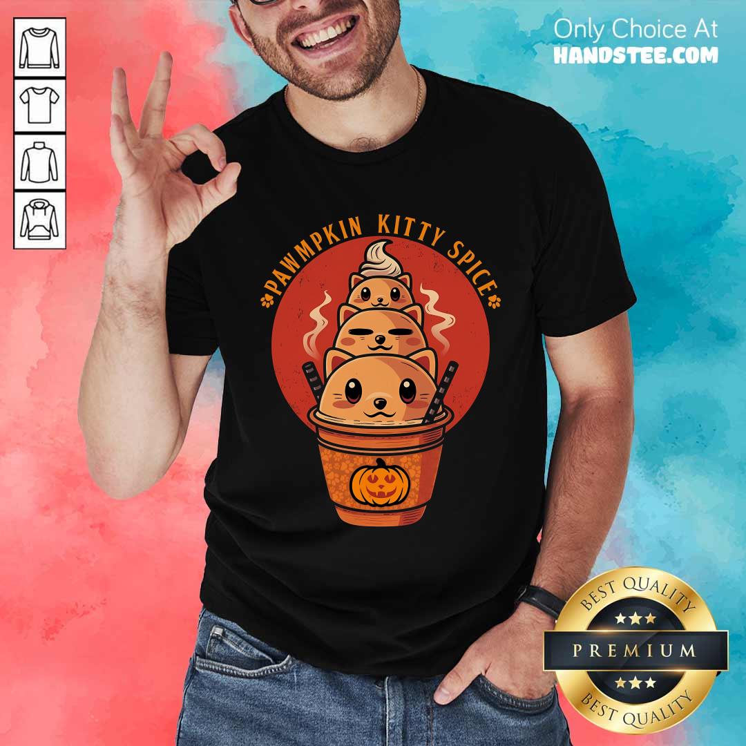 Nice Cute Pawmpkin Kitty Spice Halloween Cat T-Shirt