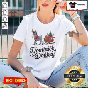 Funny Dominick the Donkey Christmas sleigh holiday ladies tee, featuring a playful design perfect for festive celebrations.