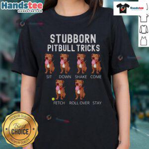 Good stubborn Pitbull performing tricks for ladies wearing a stylish tee, showcasing playful canine energy and charm.