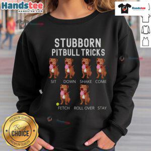 Good stubborn Pitbull performs tricks wearing a stylish dog sweatshirt, showcasing playful personality and unique fashion.