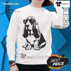 Funny Basset Hound wearing sunglasses in a hipster dog sweatshirt, showcasing adorable canine style and personality.
