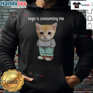 Funny Rage Is Consuming Me meme hoodie featuring a silly cat and chill guy, perfect for meme lovers and casual wear.