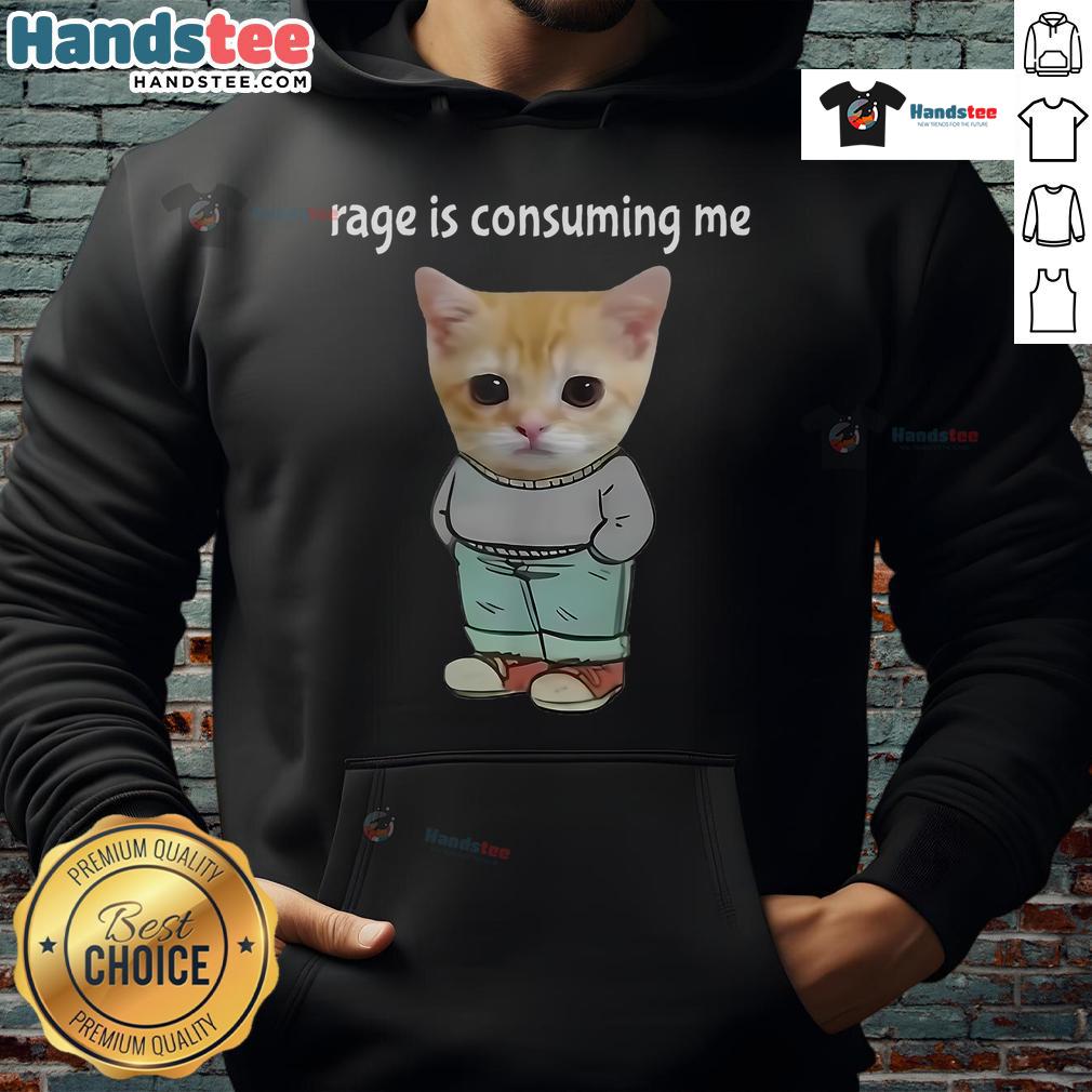 Funny Rage Is Consuming Me meme hoodie featuring a silly cat and chill guy, perfect for meme lovers and casual wear.