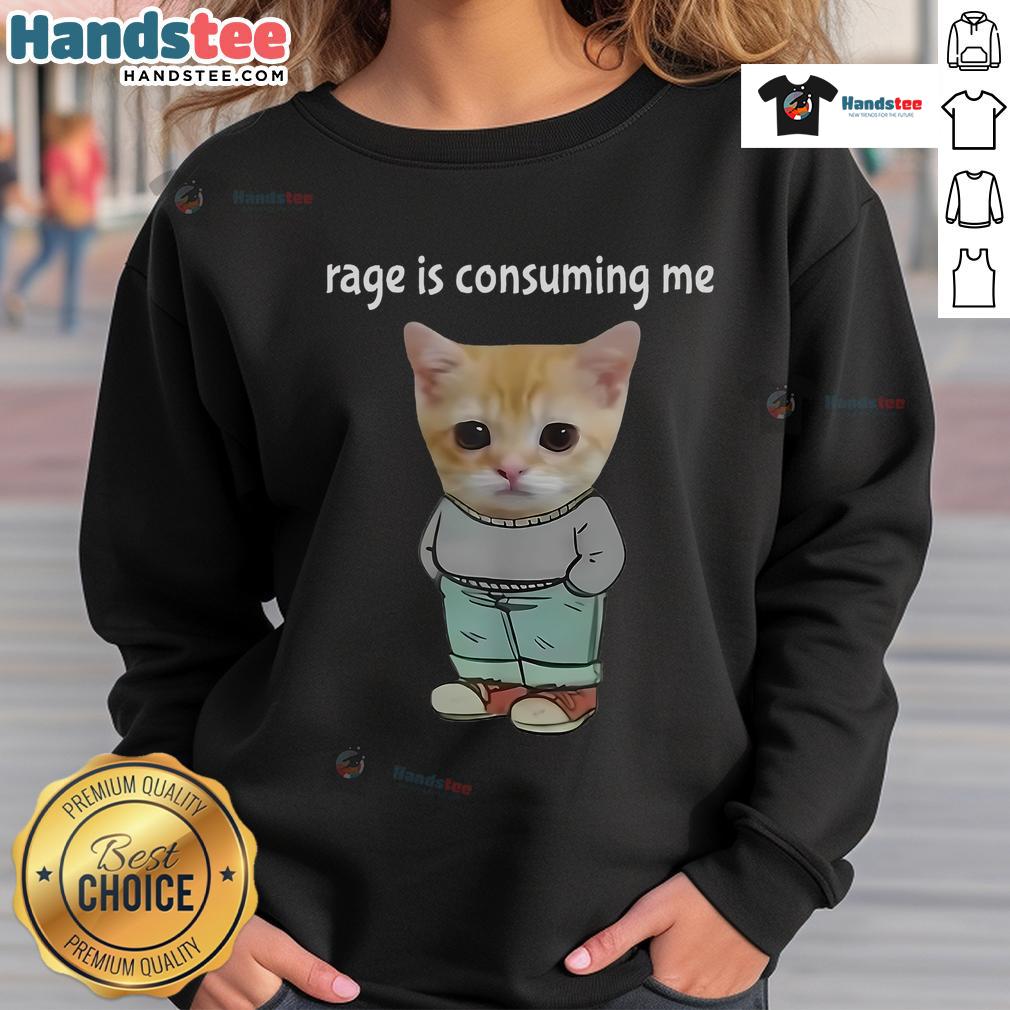 Funny rage meme sweatshirt featuring a silly cat and a chill guy, perfect for expressing humor and personality.