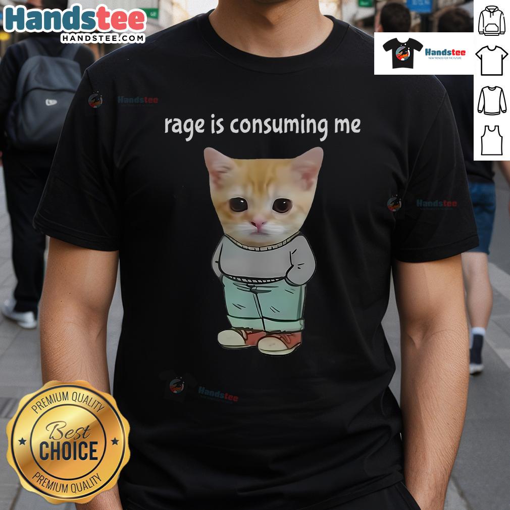 Funny rage is consuming me meme featuring a chill cat, perfect for a quirky T-shirt design for cat lovers.