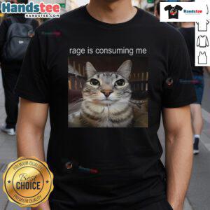 Funny Rage Is Consuming Me Silly Staring Cat Meme T-Shirt design featuring a cartoon cat with exaggerated expressions.