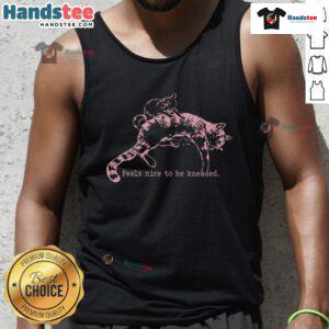 Cat mom and her son kitten wearing a 'Good Feels Nice to Be Kneaded' tank top, showcasing their playful bond.