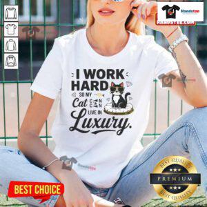 Funny I Work Hard So My Cat Can Live in Luxury Ladies Tee featuring a playful cat graphic, perfect for cat lovers.