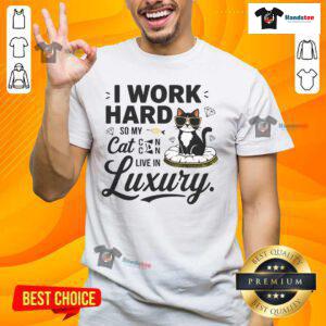 Funny I Work Hard So My Cat Can Live In Luxury T-Shirt featuring a playful design for cat lovers and pet owners.
