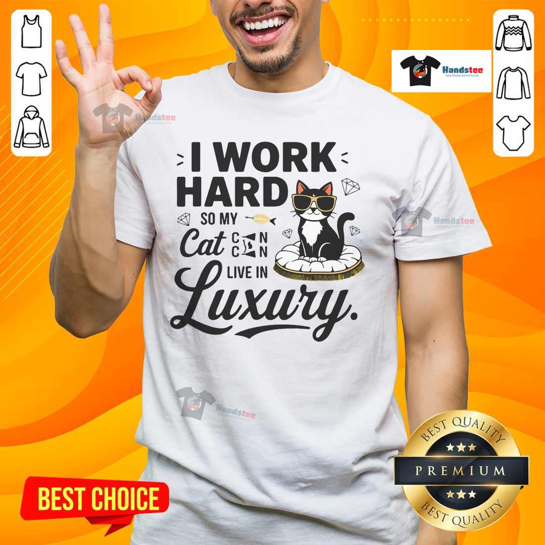 Funny I Work Hard So My Cat Can Live In Luxury T-Shirt featuring a playful design for cat lovers and pet owners.