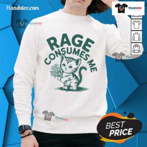 Funny 'Rage Consumes Me' cat sweatshirt design featuring a quirky cat illustration, perfect for humor-loving pet owners.