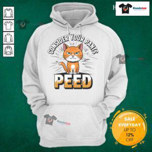 Funny silly meme cat with a hoodie saying 'Consider Your Pants Peed' for humorous cat lovers and meme enthusiasts.