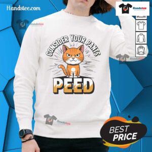 Funny meme cat on a sweatshirt with 'Consider Your Pants Peed' text, perfect for cat lovers and humor enthusiasts.