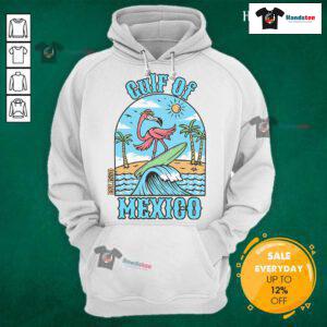 Vintage flamingo surf beach hoodie inspired by the Gulf of Mexico, est. 1550, perfect for ocean lovers and beachgoers.