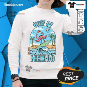 Vintage flamingo surf beach sweatshirt inspired by the Gulf of Mexico, est. 1550, perfect for summer style.