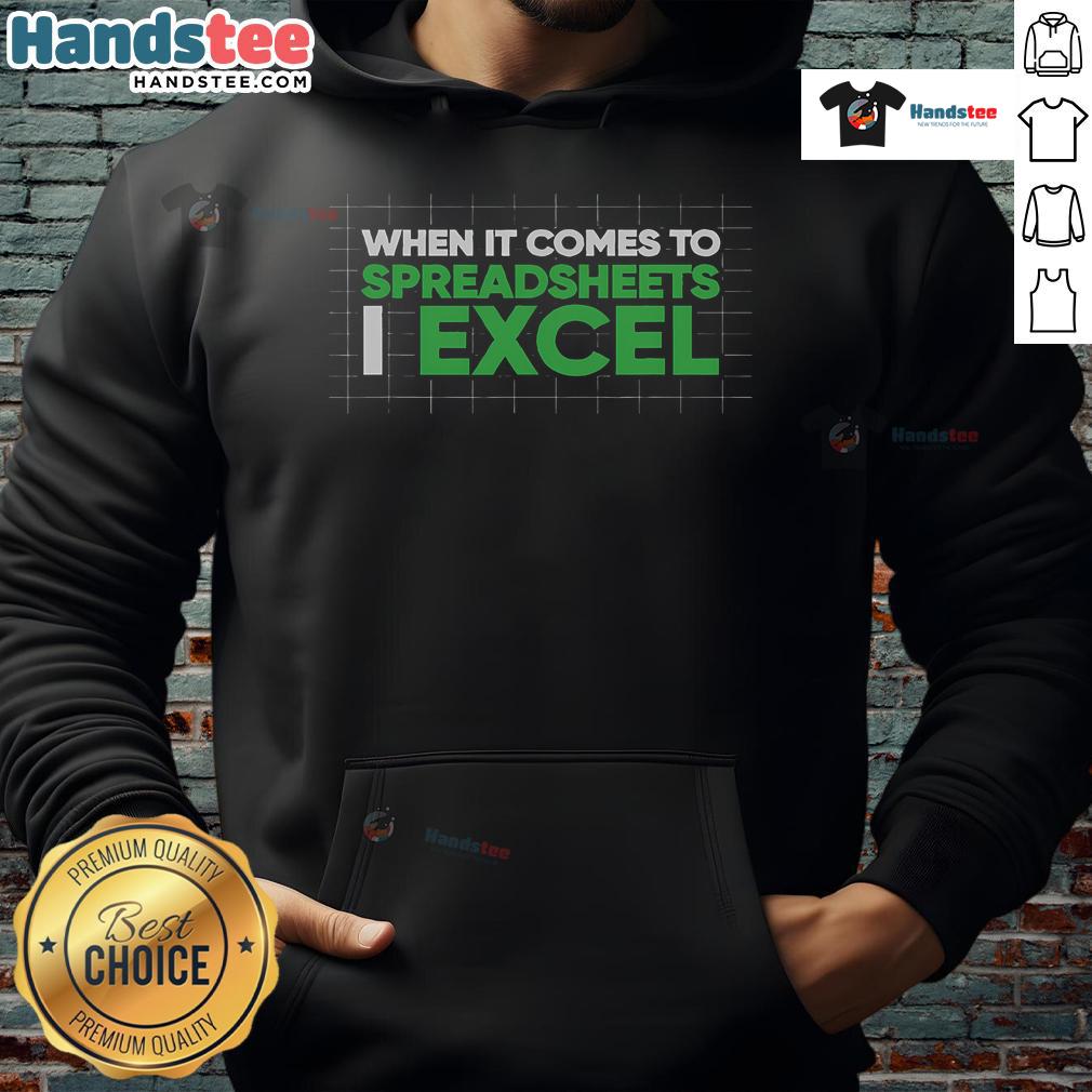 Funny accountant hoodie with 'When it comes to spreadsheets, I Excel' design, perfect for spreadsheet lovers and humor.