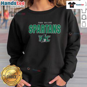 Nice Champion York College Spartans sweatshirt in navy blue, featuring the college logo and comfortable fit for fans.