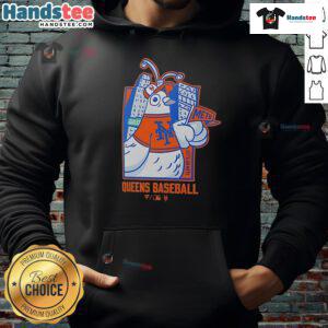 Cozy New York Mets pigeon hoodie, perfect for Queens baseball fans, showcasing team spirit and urban style.