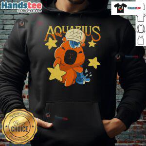 Adorable cute capybara Aquarius hoodie design featuring a capybara in a zodiac theme, perfect for astrology lovers.