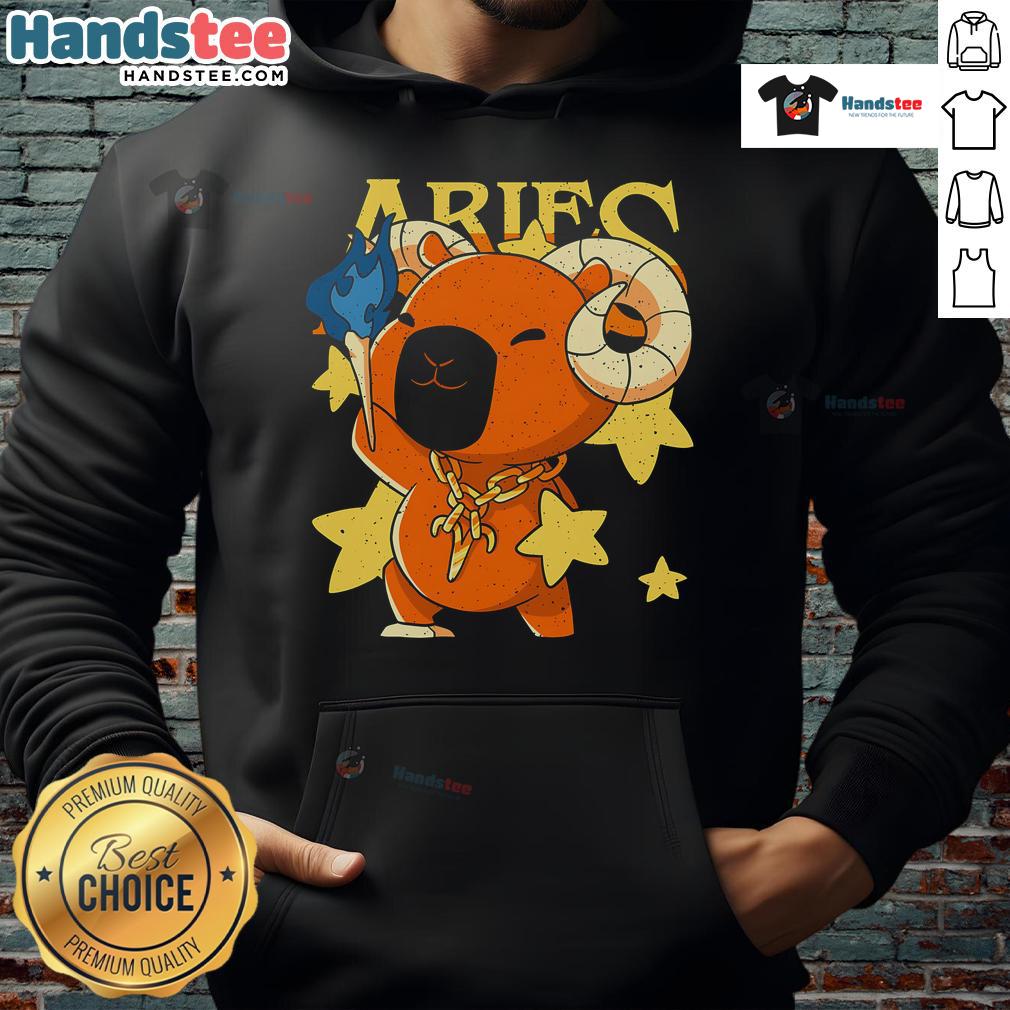 Adorable cute capybara Aries hoodie design featuring a playful capybara with Aries zodiac symbols.