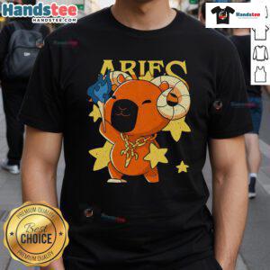 Cute Capybara Aries T-Shirt featuring an adorable capybara design and Aries zodiac symbol, perfect for astrology lovers.
