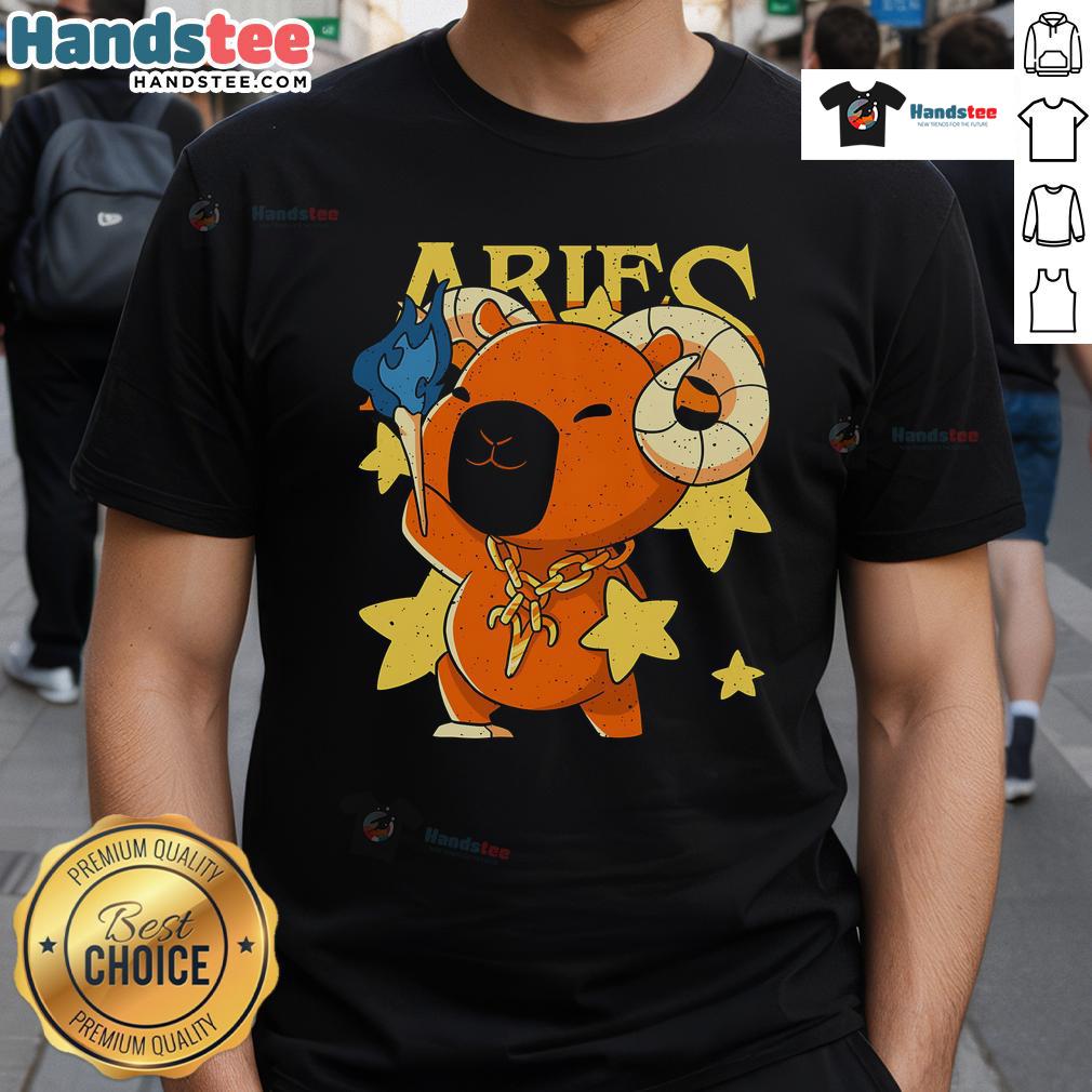 Cute Capybara Aries T-Shirt featuring an adorable capybara design and Aries zodiac symbol, perfect for astrology lovers.