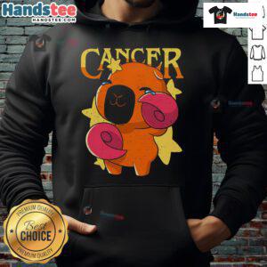 Adorable capybara wearing a cancer-themed hoodie, perfect for animal lovers and cancer awareness supporters.