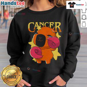 Cute capybara cancer sweatshirt featuring an adorable capybara design, perfect for animal lovers and cancer awareness.