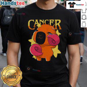 Adorable capybara graphic on a cancer awareness t-shirt, featuring a playful design for animal lovers and supporters.