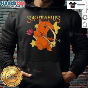 Alt Text: Cute capybara Sagittarius hoodie featuring a whimsical design perfect for astrology lovers and animal enthusiasts.