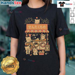 Cute fantasy laundry cats design on a ladies tee, perfect for cat lovers and whimsical fashion enthusiasts.