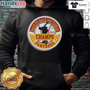 Alt Text: Official Panther Baseball 2025 Section Champions hoodie celebrating back-to-back Section 6A victories.
