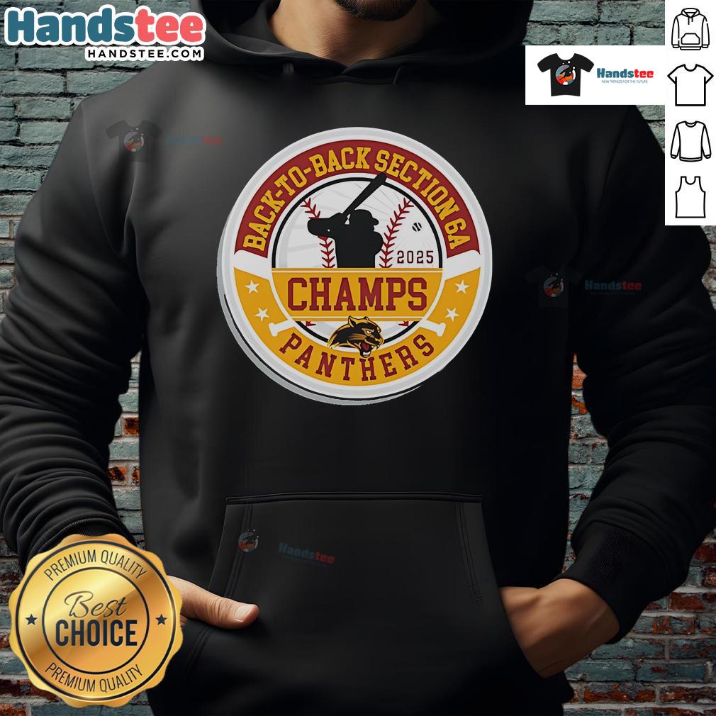 Alt Text: Official Panther Baseball 2025 Section Champions hoodie celebrating back-to-back Section 6A victories.