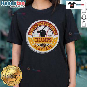 Alt Text: Official Panther Baseball 2025 Section Champions tee celebrating back-to-back Section 6A victories for ladies.