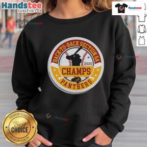Alt Text: Official Panther Baseball 2025 Section Champions sweatshirt celebrating back-to-back Section 6A victories.