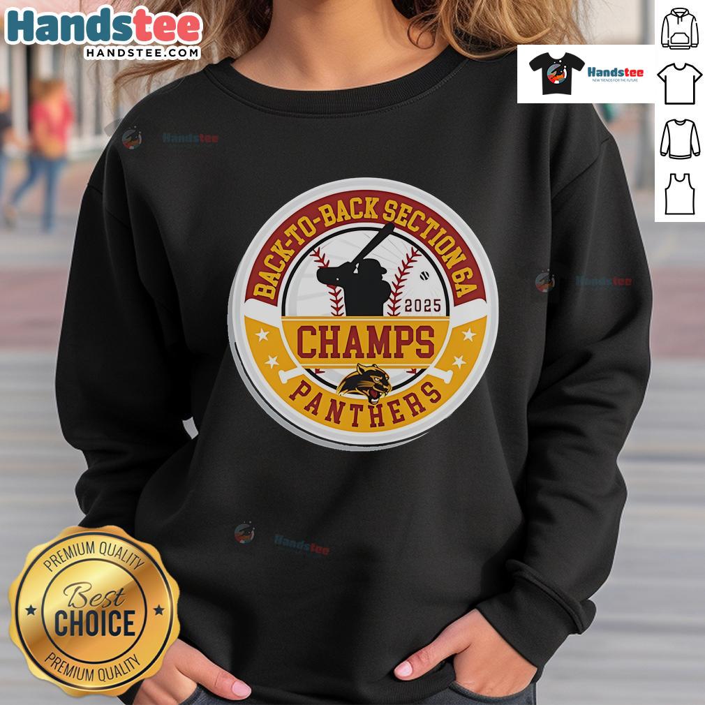 Alt Text: Official Panther Baseball 2025 Section Champions sweatshirt celebrating back-to-back Section 6A victories.