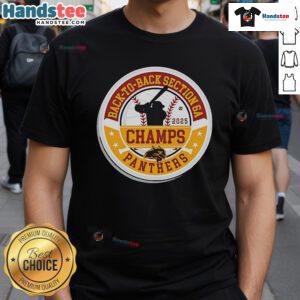 Alt Text: Official Panther Baseball 2025 Section Champions T-Shirt celebrating back-to-back Section 6A victories.