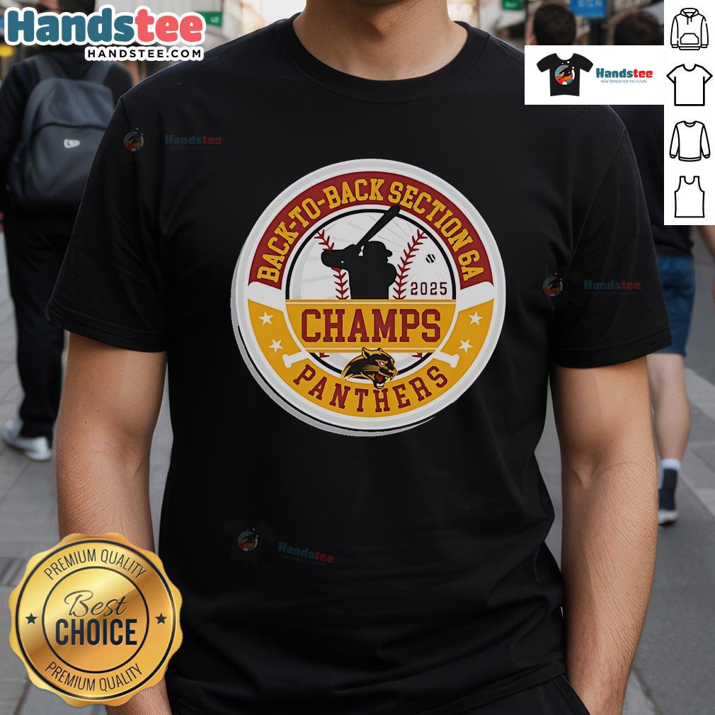 Alt Text: Official Panther Baseball 2025 Section Champions T-Shirt celebrating back-to-back Section 6A victories.