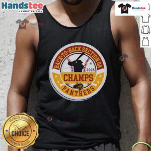 Official Panther Baseball 2025 Section Champions tank top celebrating back-to-back Section 6A victories.