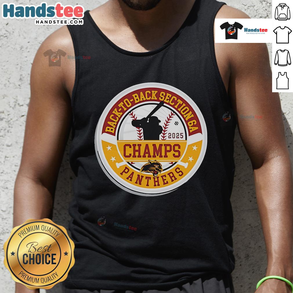 Official Panther Baseball 2025 Section Champions tank top celebrating back-to-back Section 6A victories.