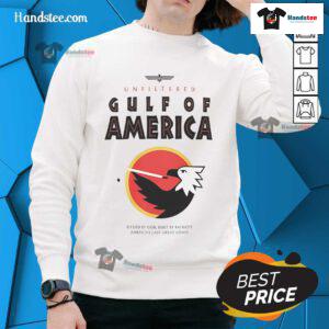 Alt Text: Awesome Gulf of America Spirit of America Eagle sweatshirt featuring a vibrant eagle design and comfortable fit.