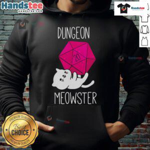 Funny Dungeon Meowster nerdy cat hoodie featuring a playful feline design, perfect for cat lovers and gamers.