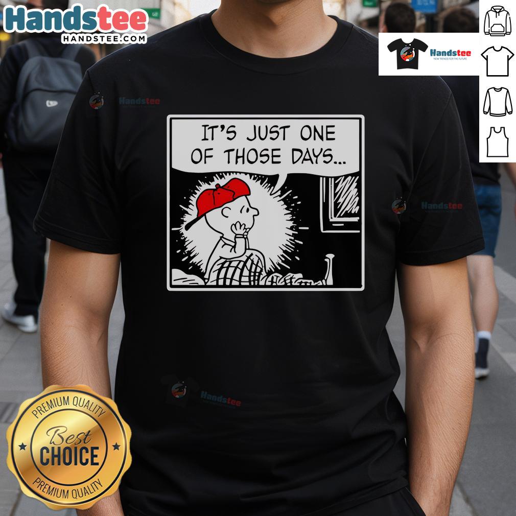 Nice Charlie Brown and Limp Bizkit's 'Break Stuff It's Just One Of Those Days' T-shirt showcasing a playful design.