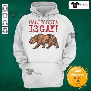 Alt Text: Official California Is Gay Bear Hoodie in vibrant colors, showcasing pride and support for LGBTQ+ community.