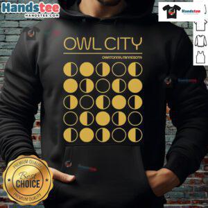 Original Owl City Owatonna Minnesota hoodie featuring a unique design, perfect for fans and cozy wear.