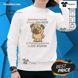 Alt Text: Cozy sweatshirt featuring a good pug and the phrase about mood and intelligence, perfect for dog lovers.