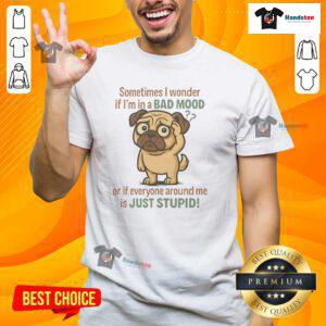 Good Pug 'Bad Mood or Stupid People' T-Shirt featuring a humorous design with a pug illustration, perfect for dog lovers.
