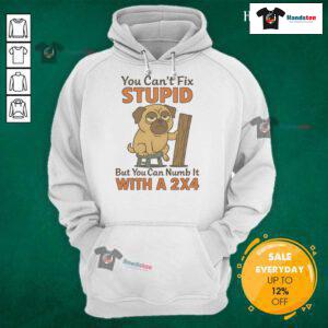Good Pug hoodie with humorous quote: 'You can't fix stupid, but you can numb it with a 24'. Perfect for dog lovers.