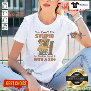 Good Pug ladies tee with humorous quote on fixing stupidity, featuring a cute pug graphic for dog lovers.