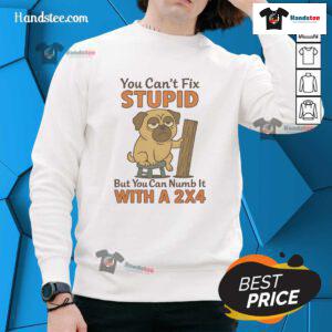 Funny 'Good Pug' sweatshirt with the quote 'You Can't Fix Stupid But You Can Numb It With A 24' featuring a cute pug design.
